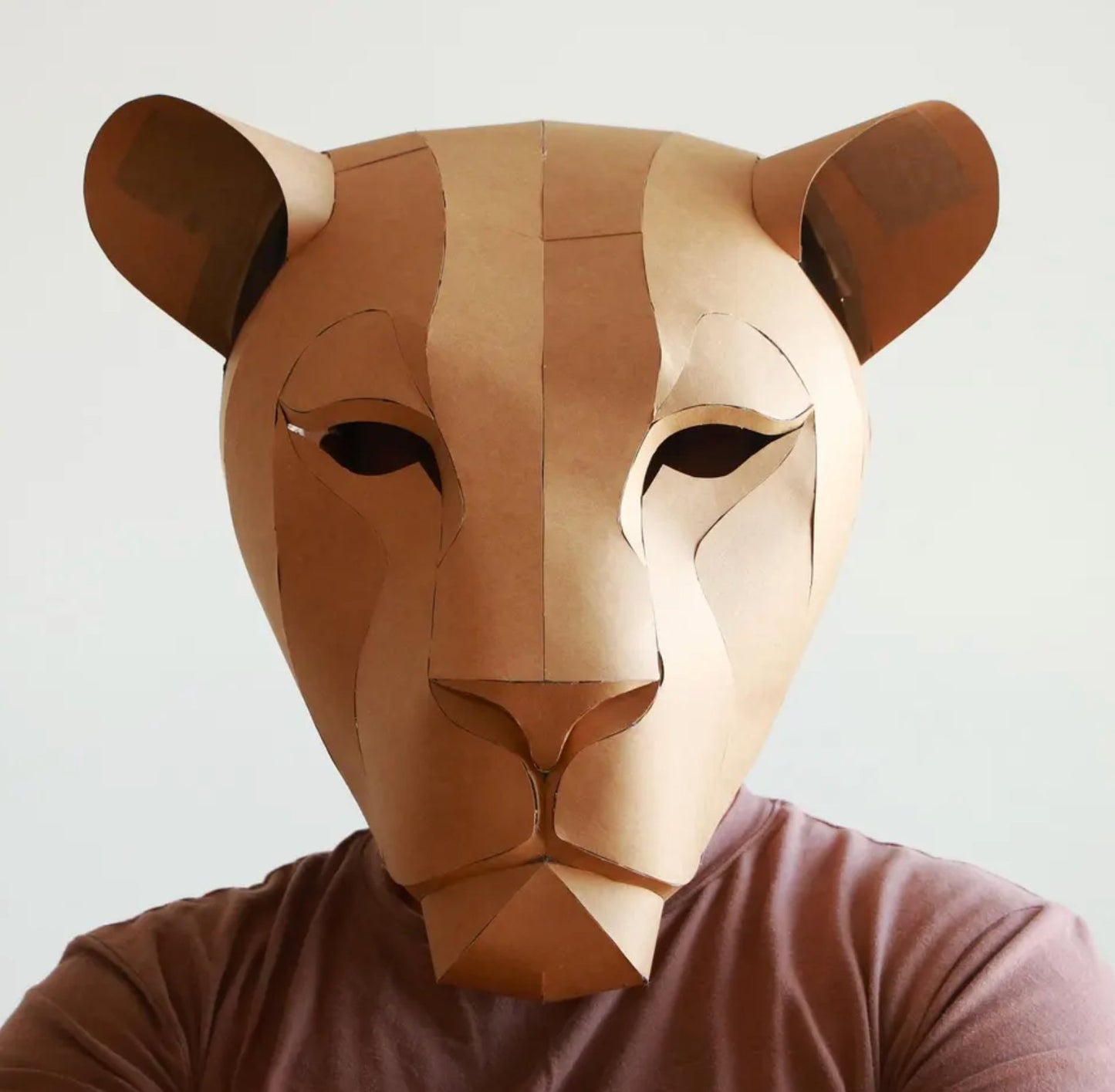 Lion Mask Cardboard Kit: King of the Jungle - 3_lion-mask-kit
